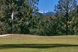 3509 Conrad Drive - Photo 6