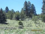 Lot 3 Peregrine Heights - Photo 5
