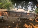 28585 Hwy 70 - Photo 51