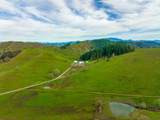 10181 Umpqua Highway - Photo 5