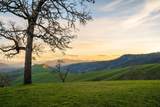 10181 Umpqua Highway - Photo 52