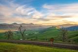 10181 Umpqua Highway - Photo 53
