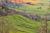 10181 Umpqua Highway - Photo 54