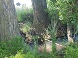 703 6th Street - Photo 5