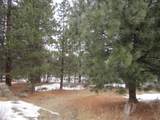 3525 Cayuse Circle - Photo 3