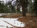 3525 Cayuse Circle - Photo 7