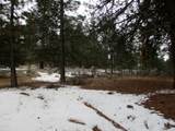 3525 Cayuse Circle - Photo 8
