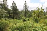  Cow Creek Road - Photo 1