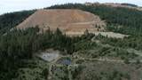  Cow Creek Road - Photo 10