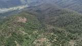  Cow Creek Road - Photo 11