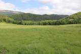  Cow Creek Road - Photo 14