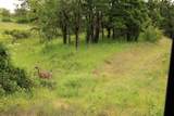  Cow Creek Road - Photo 2