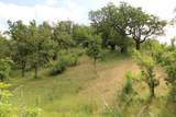 Cow Creek Road - Photo 23