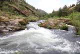  Cow Creek Road - Photo 6