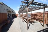 812 C Street - Photo 8