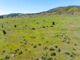 36020 Alder Creek Road - Photo 104