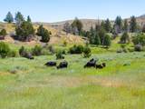 36020 Alder Creek Road - Photo 108