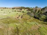 36020 Alder Creek Road - Photo 131