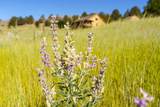 36020 Alder Creek Road - Photo 39