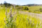 36020 Alder Creek Road - Photo 40