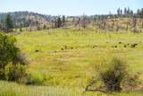 36020 Alder Creek Road - Photo 43