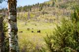 36020 Alder Creek Road - Photo 46