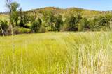 36020 Alder Creek Road - Photo 50