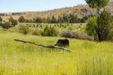 36020 Alder Creek Road - Photo 51