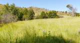 36020 Alder Creek Road - Photo 52