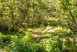 36020 Alder Creek Road - Photo 55