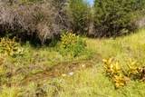 36020 Alder Creek Road - Photo 58