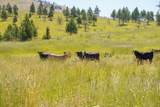 36020 Alder Creek Road - Photo 62