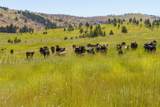 36020 Alder Creek Road - Photo 65