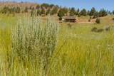 36020 Alder Creek Road - Photo 68