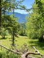 0 Mule Creek-Marial Road - Photo 36