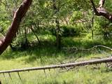 0 Mule Creek-Marial Road - Photo 37