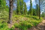 Lot-500 Forest Service Road - Photo 12