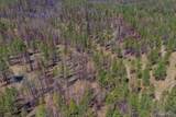 Lot-500 Forest Service Road - Photo 16