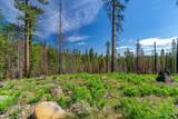 Lot-500 Forest Service Road - Photo 2