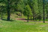 Lot-500 Forest Service Road - Photo 4