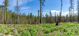 Lot-500 Forest Service Road - Photo 7