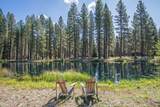 13375 Forest Service Road - Photo 25