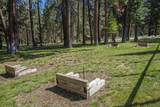 13375 Forest Service Road - Photo 28