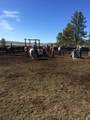 3 Mile Nfg 49 - Photo 14
