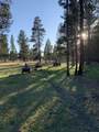 3 Mile Nfg 49 - Photo 8