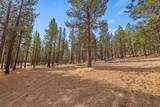 20951 Thunderbird Lane - Photo 62