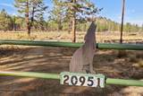 20951 Thunderbird Lane - Photo 8