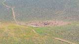 55995 Moffitt Road - Photo 46