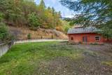 3141 Humbug Creek Road - Photo 11