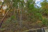3141 Humbug Creek Road - Photo 12